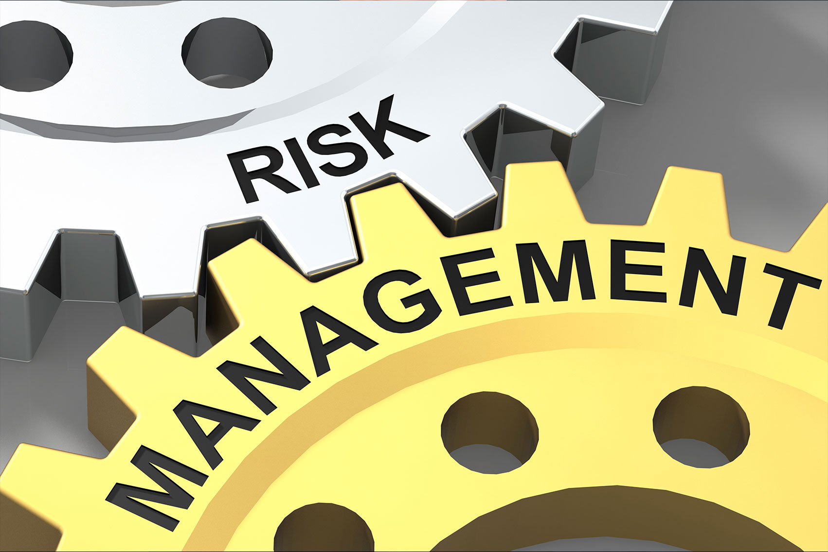 Project Risk Management